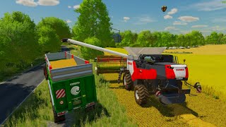 FS22 TRITICALE CROP HARVESTING NEW FARM ostseekuste 22 [upl. by Yvon]