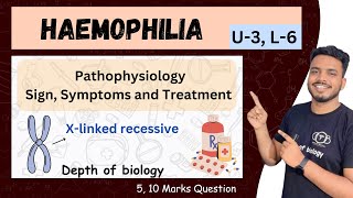 haemophilia  haemophilia pathophysiology  haemophilia depth of biology haemophilia sgsir [upl. by Nepil]