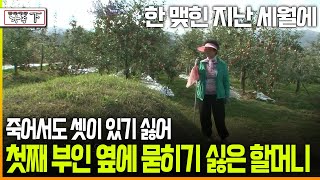 다큐 ‘가족’ 196회下 한 맺힌 지난 세월에 죽어서도 셋이 있기 싫어 첫째 부인 옆에 묻히기 싫은 할머니 [upl. by Lasonde]