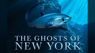 FullLength Feature Film THE GHOSTS OF NEW YORK  Thresher Sharks [upl. by Ray]