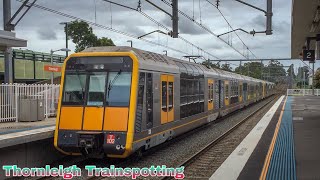 Sydney And Regional Trains Vlog 446 Thornleigh Part 3 [upl. by Mainis]