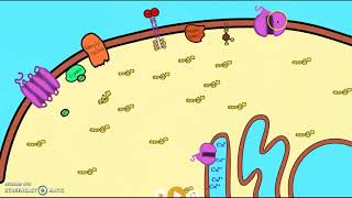 Cell Signaling Animation 1 [upl. by Gussy]