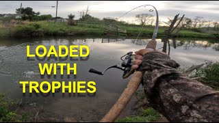 TROUT FISHING ONE OF MY FAVORITE TROPHY TROUT STREAMS Loaded [upl. by Heiskell]