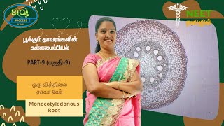 Anatomy of Flowering Plants  Part 9  Monocotyledonous Root  NEET Tamil [upl. by Gerardo]