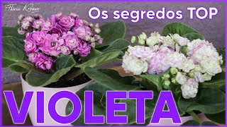 🌸Como cuidar da PLANTA VIOLETA ter ela linda e SEMPRE florida 💚🌸💚  Flávia Kremer [upl. by Des]