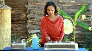 CleanCook Ethanol Stove Demonstration English Addis Ababa Ethiopia [upl. by Dallis461]