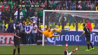 Goles del partido México VS Nueva Zelanda del Repechaje para Brasil 2014 [upl. by Nnayllek806]