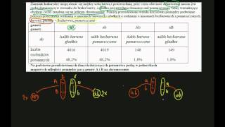 zadanie maturalne  rekombinacja genetyczna [upl. by Nahtanod]
