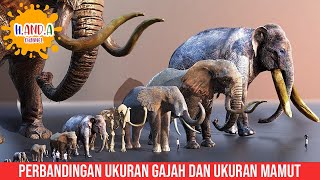 Perbandingan ukuran gajah dan ukuran mamut [upl. by Harrus54]