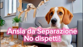 Ansia da Separazione nei Cani 🐶 5 Segnali da Riconoscere 🔍 [upl. by Ahsaz]