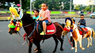 Kuda Naik Kuda Tunggang CNI Kuda Kemayoran Kuda Delman Naik Kuda Horse Lagu Lil Alamin Remix [upl. by Bobbi]