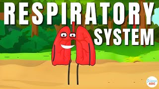 Respiratory System From Inspiration to Expiration Explained in Simple Words [upl. by Cir545]