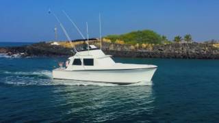 Honokohau Harbor Sportfishing Yachts  KailuaKona Hawaii [upl. by Struve990]