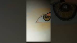 Eye making tutorial [upl. by Fitalludba]