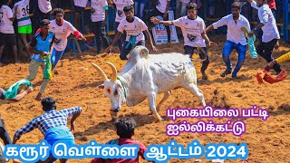 கரூர் வெள்ளை புகளைப்பட்டி 2024 karur vellai [upl. by Ellata]