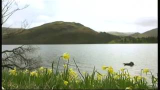 William Wordsworth  Daffodils Cumbria  England  BBC  12th April 2016 [upl. by Rhetta421]