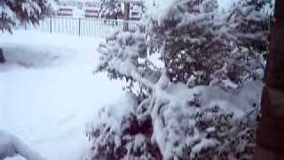 Texas Snow Storm February 2010  part 1 [upl. by Warring]