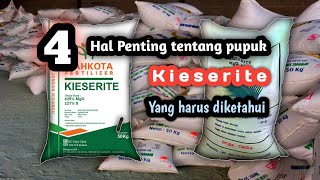 4 Hal penting tentang pupuk Kieserite yang harus diketahui‼️pupuk [upl. by Spiegleman321]