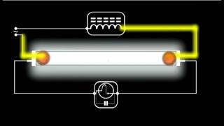 How a Fluorescent Light Works  Schematic Animation [upl. by Nosemyaj]