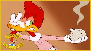 Woody Woodpecker Show  Chicken Woody  Full Episode  Cartoons For Children [upl. by Rheinlander]