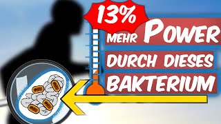 Studie 2019 Wie Menschen 13 mehr leisten durch dieses Darmbakterium [upl. by Bernadene157]