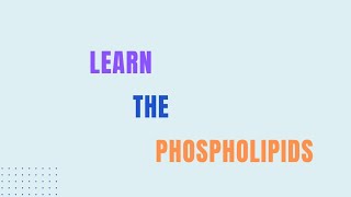 Learn The Phospholipids Biochemistry Microbiology Biotechnology [upl. by Aleusnoc]