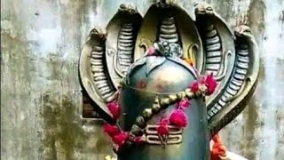 शिव चर्चा भजन ll 🙏❤️🥰🙏 ll trending shortsfeed shortsvideo Shivcharcha shivbhajan2024 vairal [upl. by Constancia]