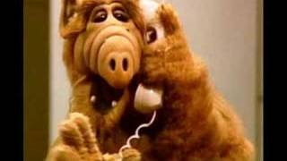 alf theme song [upl. by Lusty]