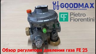 Обзор регулятора давления газа Pietro Fiorentini FE 25 [upl. by Kienan646]