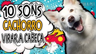 DEIXE SEU CÃO CURIOSO  10 SONS PARA DEIXAR QUALQUER CACHORRO CURIOSO  BARULHO [upl. by Scheck693]