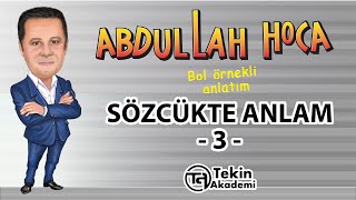 SÖZCÜKTE ANLAM 3 BOL ÖRNEKLİ KONU ANLATIMLI [upl. by O'Dell]