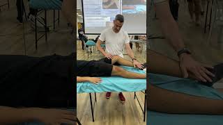 ברך vastus medialis Sartorius [upl. by Peterson]