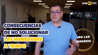 CONSECUENCIAS de no solucionar las HUMEDADES a tiempo ¡No las ignores [upl. by Jeana]