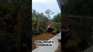 Pulang tahlilan di perkampungan yang sejuk sunda virallvideo sunday pengikut [upl. by Newol]