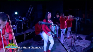 Nery Pedraza y los Guaraperos de la Cumbia 💥 La Gaita Numero 1 [upl. by Seline]