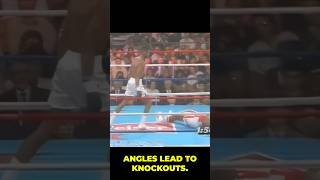 ANGLES LEAD TO KNOCKOUTS michaelnunn boxing ringmagazine [upl. by Gualtiero620]