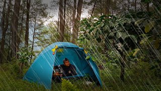 Camping in the rainforest Cooking and enjoying the soothing sounds of nature Natural relaxation [upl. by Kannry]