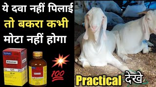 Bakre ki Deworming ka Tarika भाग2  बकरे या बकरी के पेट में कीड़े मारने की दवा  Goats Dewormers [upl. by Naesed]