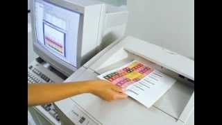 File Folder Labeling Software  Printing Filing Name Labels from Your Printer [upl. by Turpin]