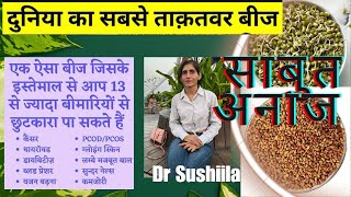 Benefits of ALFA ALFA SEEDS I How to use Alfa Alfa seeds I Amazing Alfa Alfa Seeds sprout [upl. by Hasile]