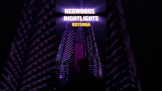 Redwood Tree walk Nightlights 🌲🌌 shorts redwoodforest rotorua [upl. by Llerraj]