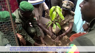 Commune de Sadio Les habitants expriment leur inquiétude face à la déforestation [upl. by Horner111]