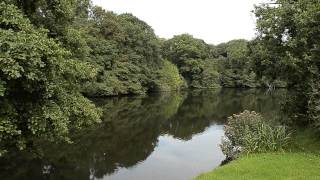 ALDER FARM BRIDESTOWE OKEHAMPTON DEVON [upl. by Yelrah637]