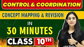 CONTROL amp COORDINATION in 30 Minutes  Mind Map Series for Class 10th [upl. by Rhynd]