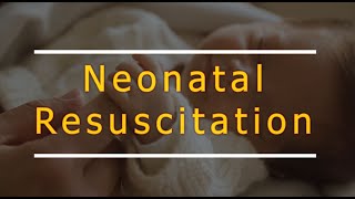 Neonatal resuscitation NRP and practice scenario [upl. by Winona628]