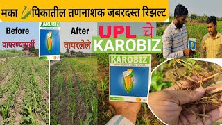 KAROBIZ मका पिकातील जबरदस्त तणनाशक UPL चे कॅरोबिज uplindia9284 agriculture maize [upl. by Merridie]