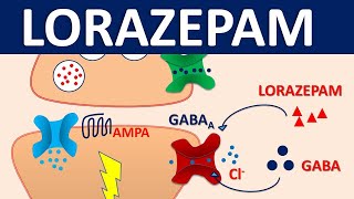 Lorazepam 05 mg ativan  Mechanism side effects precautions amp uses [upl. by Chappell]