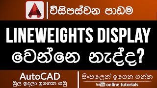 AutoCAD Beginner Course Sinhala Part 25  Line Weight Display [upl. by Bernie99]