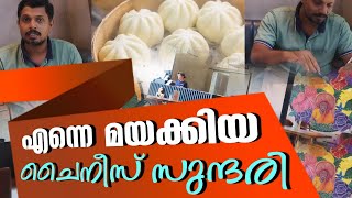 എന്നെ മയക്കിയ ചൈനീസ് സുന്ദരി ബാവോ  Bao Recipe  Daily Vlog [upl. by Arihppas]