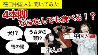 【在日中国人にインタビュー】中国人は4本足ならなんでも食べる！？ [upl. by Oilla889]